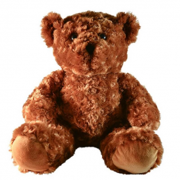 Teddy l'ours brun qui enregistre votre message vocal