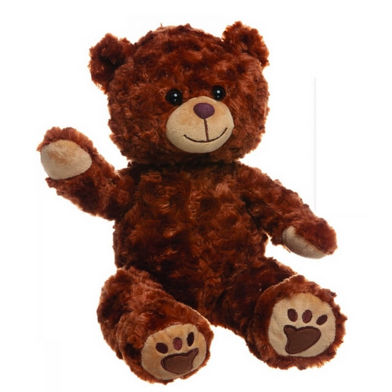 Teddy l'ours brun enregistre votre voix