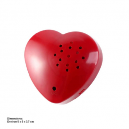 Module en forme de coeur qui enregistre votre voix